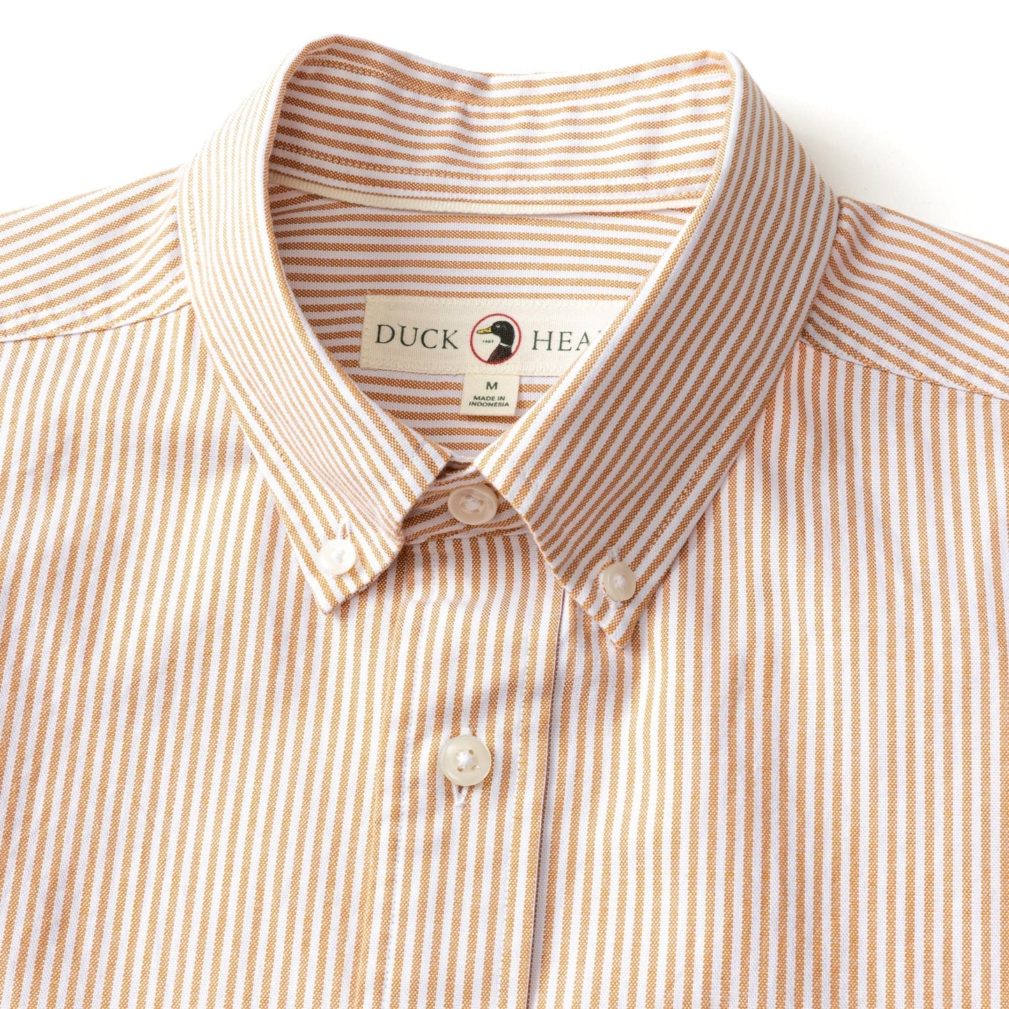 Tan and white striped Cotton Oxford Sport Shirt Collins Stripe by Duck Head, featuring a branded label inside the collar.