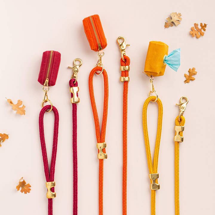 Three colorful Dog Leash | The Foggy Dog | leashes with solid brass hardware and matching zippered waste bag holders from The Foggy Dog are arranged side by side on a light background with decorative leaves.