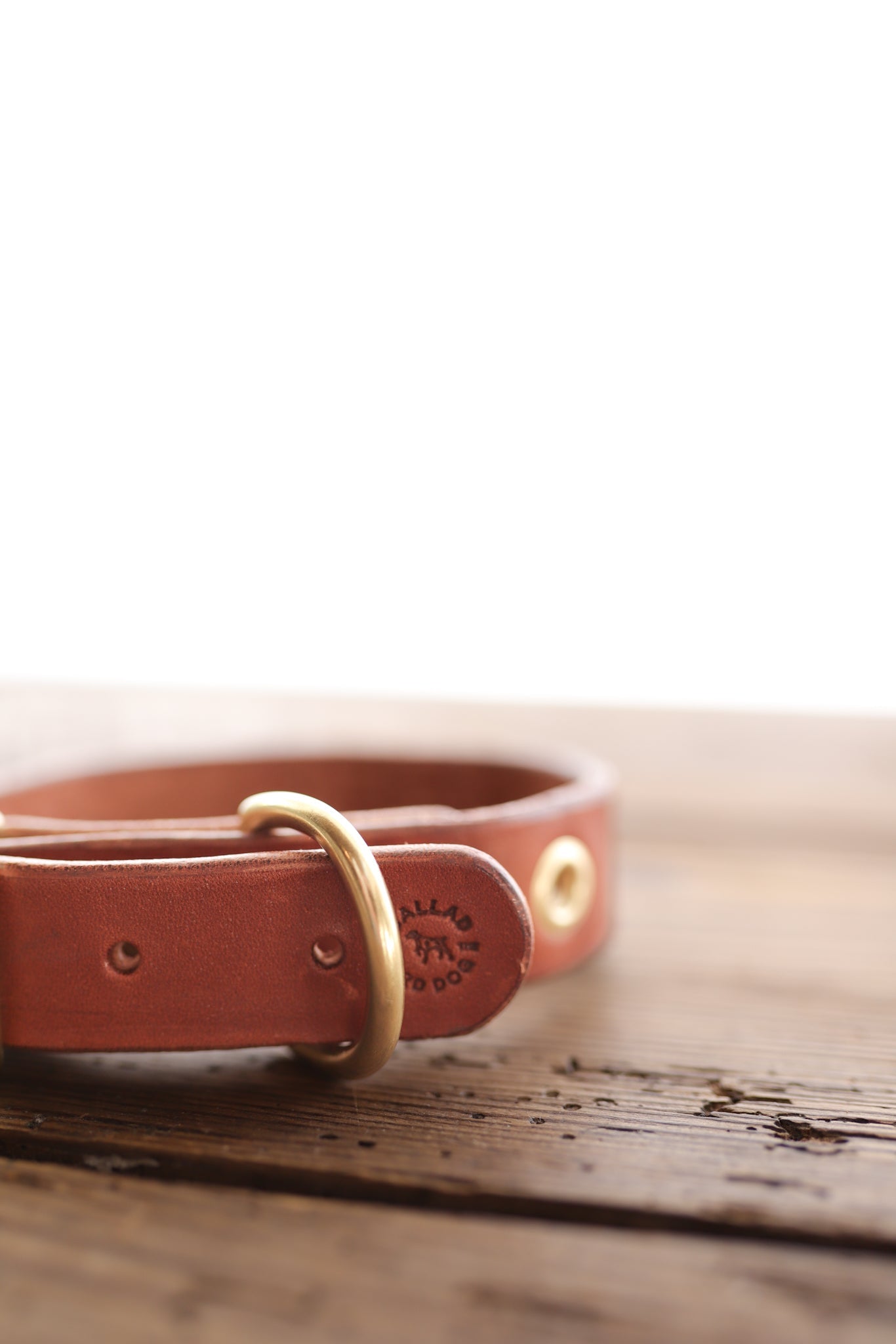 The Ballad of the Bird Dog Leather Dog Collar, handmade in brown leather with a brass D-ring, rests on a wooden surface against a white background.