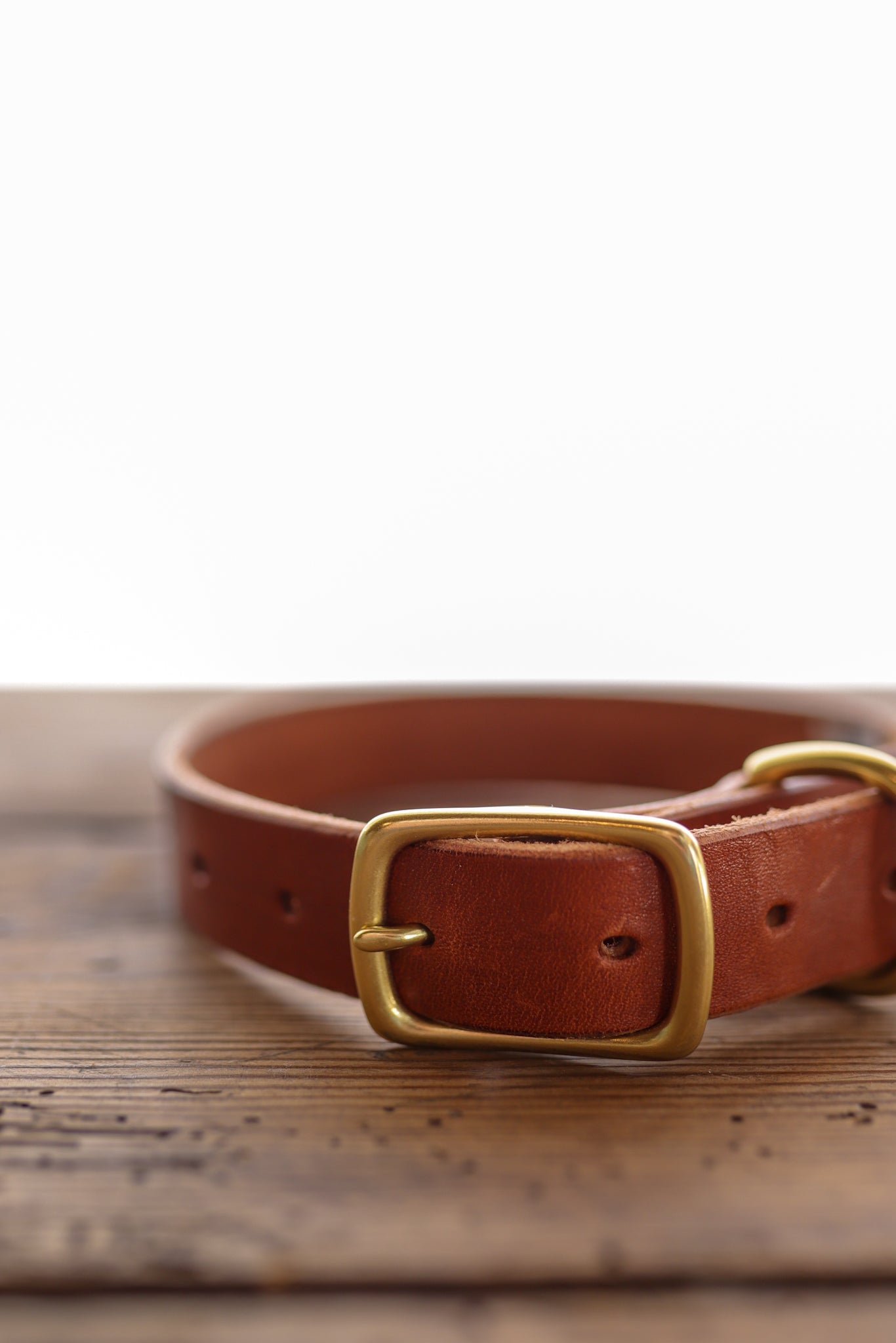 The Ballad of the Bird Dog Leather Dog Collar, featuring classic craftsmanship with a brass buckle and D-ring, rests on a wooden surface.