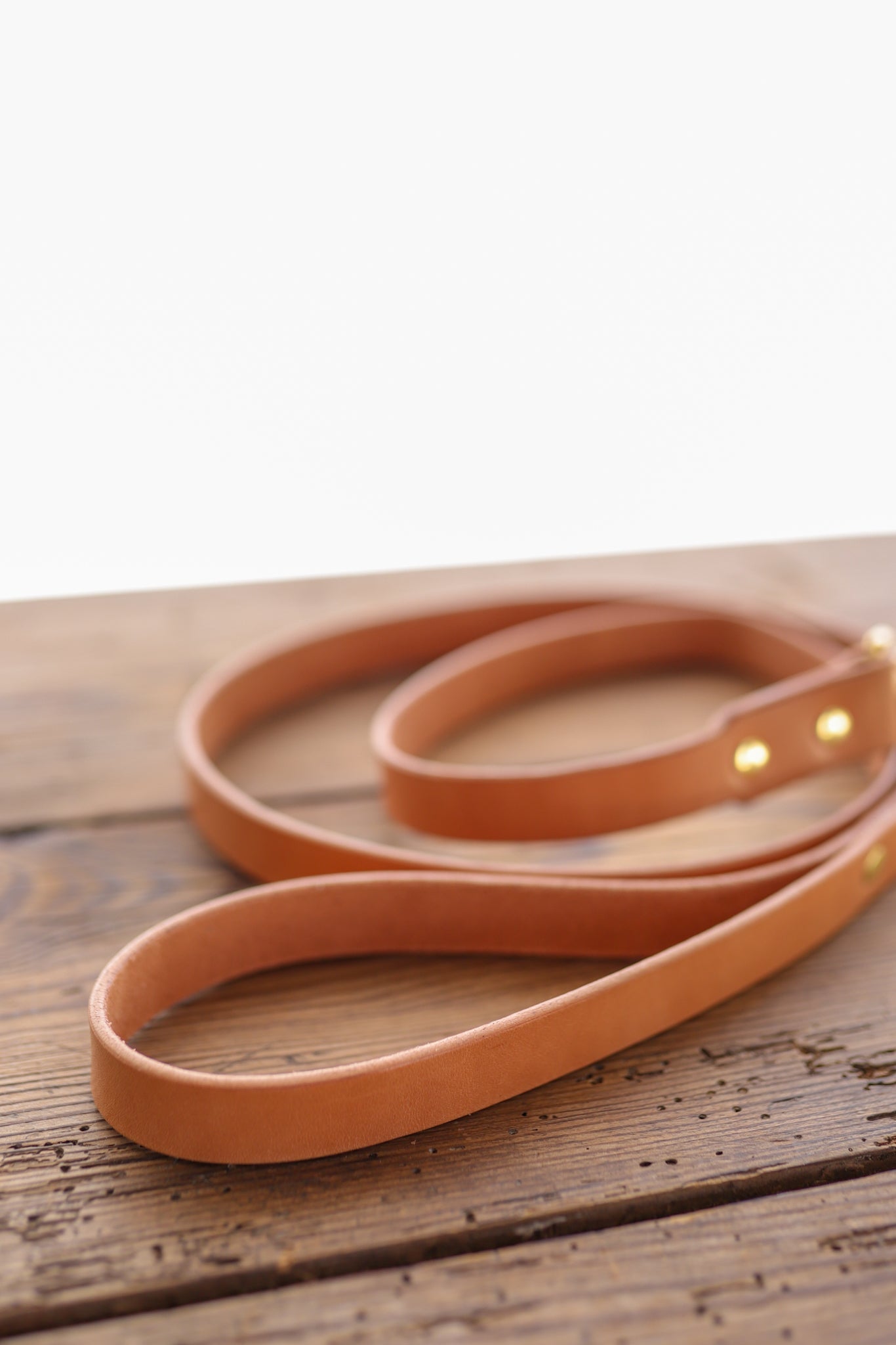 Leather Dog Leash | Ballad Of The Bird - Goods Made