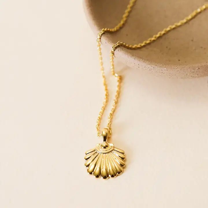 The JaxKelly Necklace | Seashell Pendant, a tarnish-free, gold-plated piece with a fine chain, is draped over the edge of a beige ceramic dish against a light background.