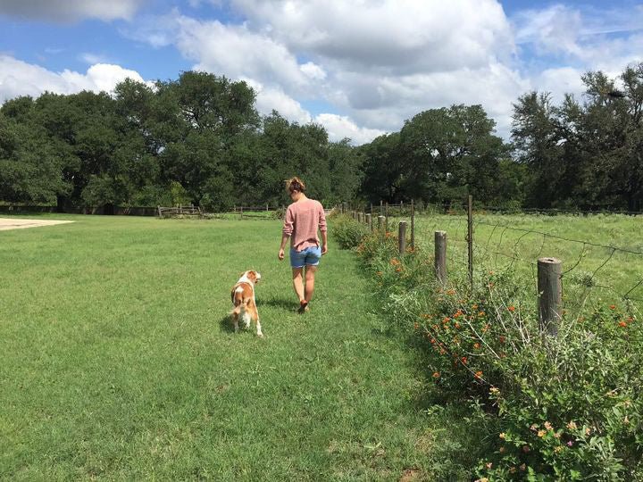 Wearing the Shop Shirt | Side By Side by Ballad of the Bird Dog, a person walks beside their dog on a grassy field near a flower-lined fence under a partly cloudy sky—true bird dog companionship.