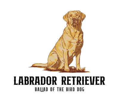 Shop Sticker featuring a charming yellow Labrador Retriever sitting on grass, with "Labrador Retriever - Ballad of the Bird Dog" beneath the illustration. From Ballad of the Bird Dog.