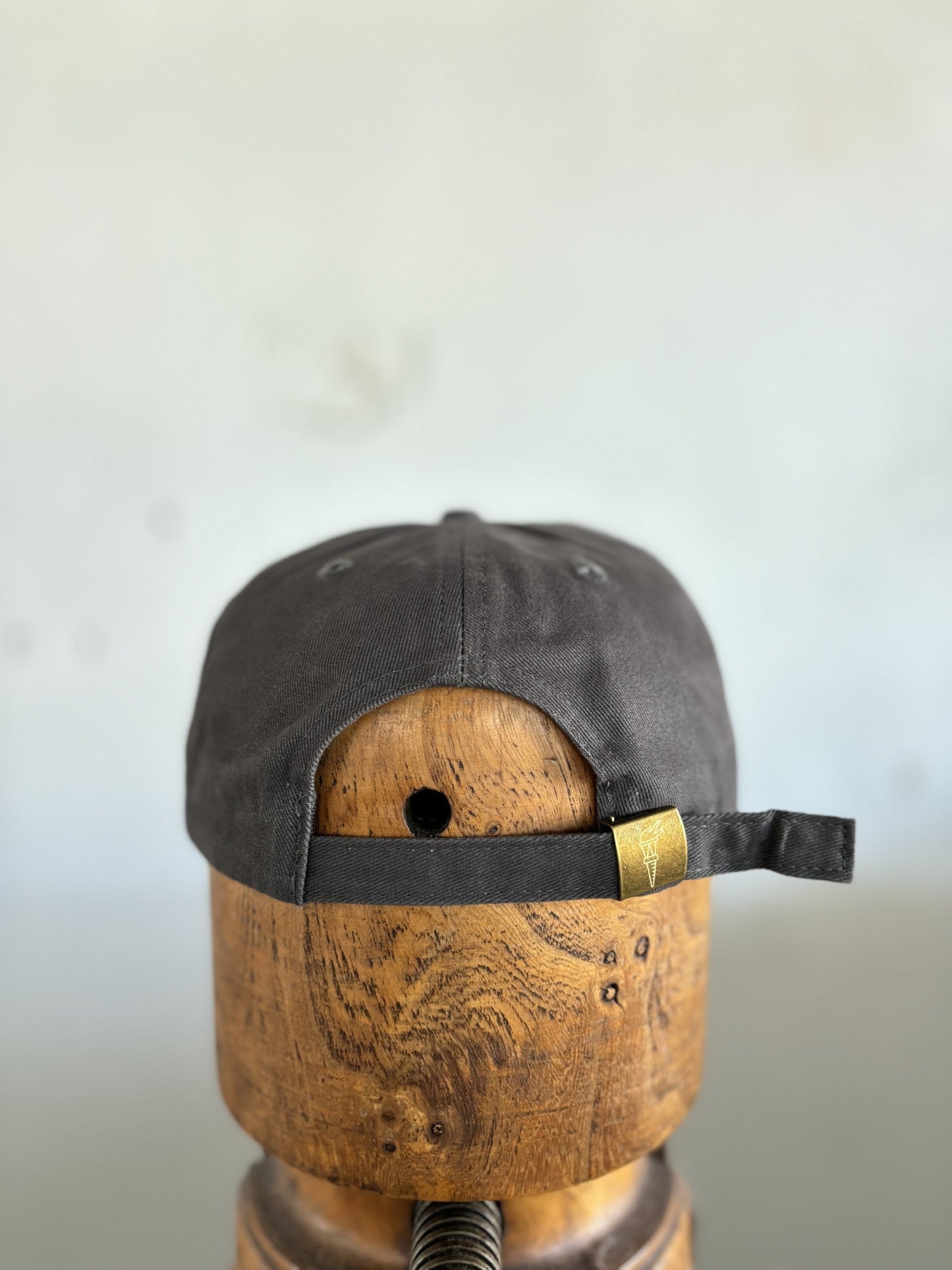 Youth Shop Hat | Pointer | Ballad of the Bird Dog - Hat
