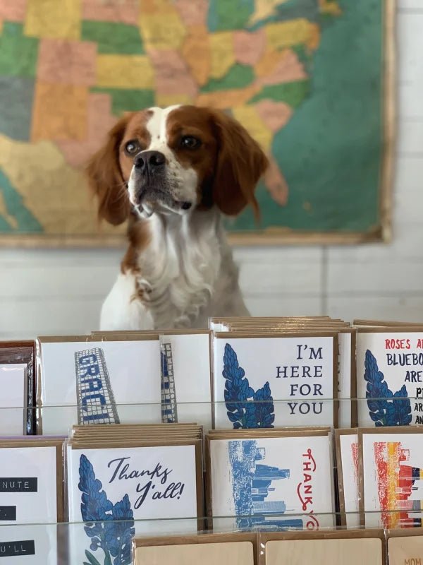 A brown and white dog sits behind a display of Anvil Cards' "Bluebonnets Here For You" A2 greeting cards, blank inside and on linen paper, with a map of the United States hanging in the background.