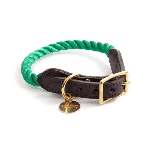 Green Leather Dog Collar With Brass Plated Clasp From Found My Animal - Manufactured Marine Grade.