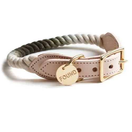 Leather Dog Collar With Brass Plate In Multiple Colors By Found My Animal.