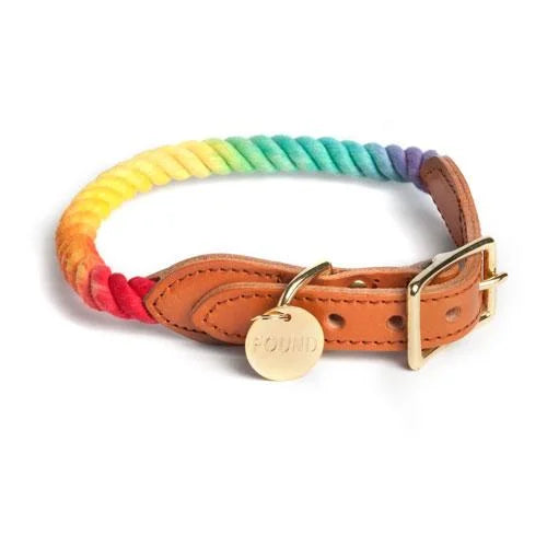 Rainbow Leather Dog Collar With Brass Plate By Found My Animal
