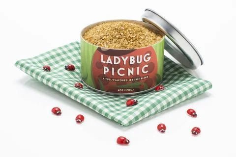 A can of "Ladybug Picnic Sea Salt" by Beautiful Briny Sea rests on a green checkered cloth, surrounded by cute ladybug figurines—an ideal touch of flavor and charm for your next outdoor picnic.