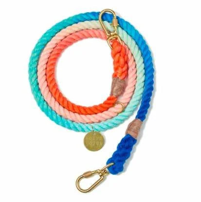 Leash With Gold Hook In Multiple Colors By Found My Animal.