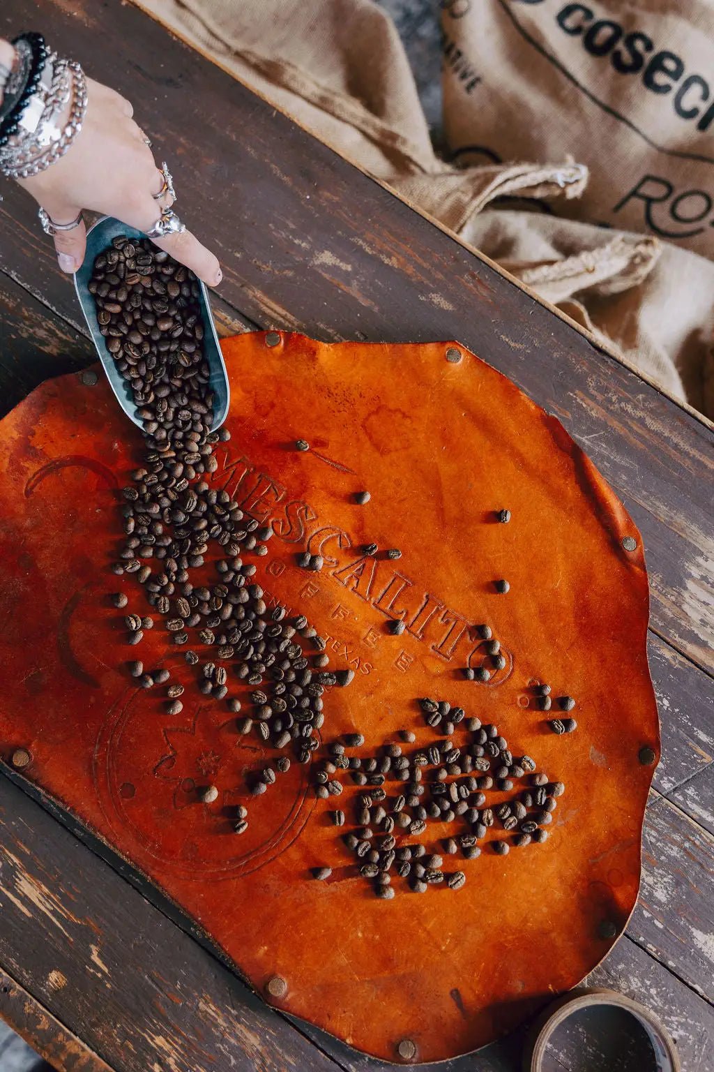 COFFEE + TEA - Ballad of the Bird Dog