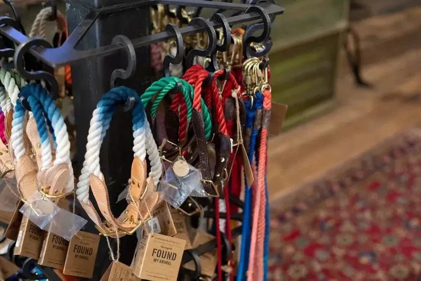 PET ACCESSORIES - Ballad of the Bird Dog