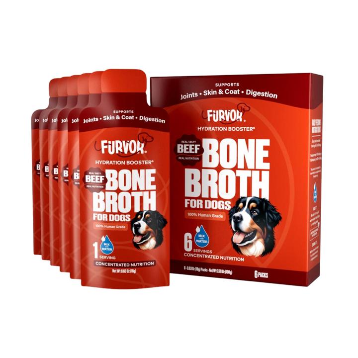 A box with six Bone Broth Single Packs by Furvor, featuring a dog image and labeled to support joints, skin, digestion, and overall nutrition for dogs.