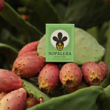 Lemongrass Cactus Soap | Nopalera