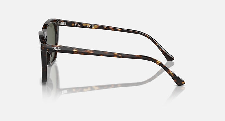 Side view of Ray-Ban 2210 sunglasses featuring rectangular Havana frames and green lenses, shown on a white surface.