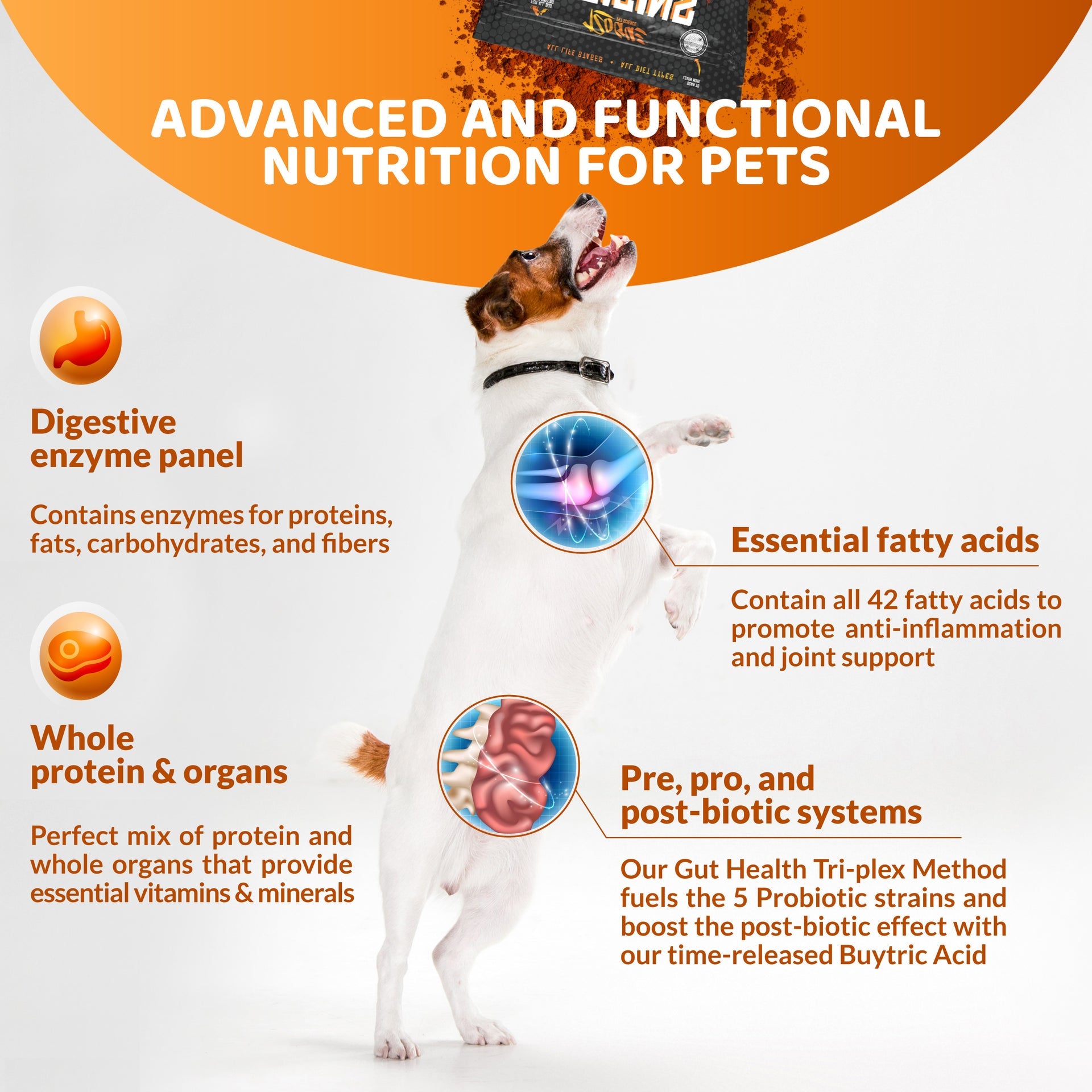 A dog stands on hind legs beneath text highlighting Origins Canine Supplement by Rogue Pet Feed: enzyme panel, high-protein formula, whole protein & organs, omega 3 for pets, and a gut health complex.