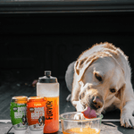 A yellow labrador drinks orange liquid from a glass bowl beside two Furvor bone broth cans and a Furvor Squeeze Bottle For Dogs, all on the bed of a truck.