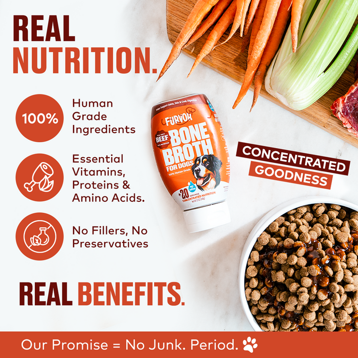 A packet of Furvor Bone Broth Single Packs sits beside fresh veggies and kibble, with text emphasizing dog nutrition, quality ingredients, and no fillers or preservatives.