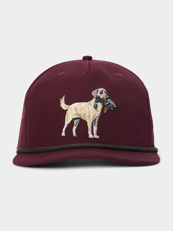 The Yellow Lab Hat by Duck Camp is a maroon 5-panel cap featuring an embroidered image of a dog holding a bird in its mouth on the front, designed with an adjustable fit for comfort.