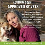 A woman sits outdoors with a bulldog. Text highlights that vets recommend Furvor Bone Broth For Dogs - Mobility Support for joint and muscle health. Banner reads: "A Veterinarian's Pick for Daily Wellness.