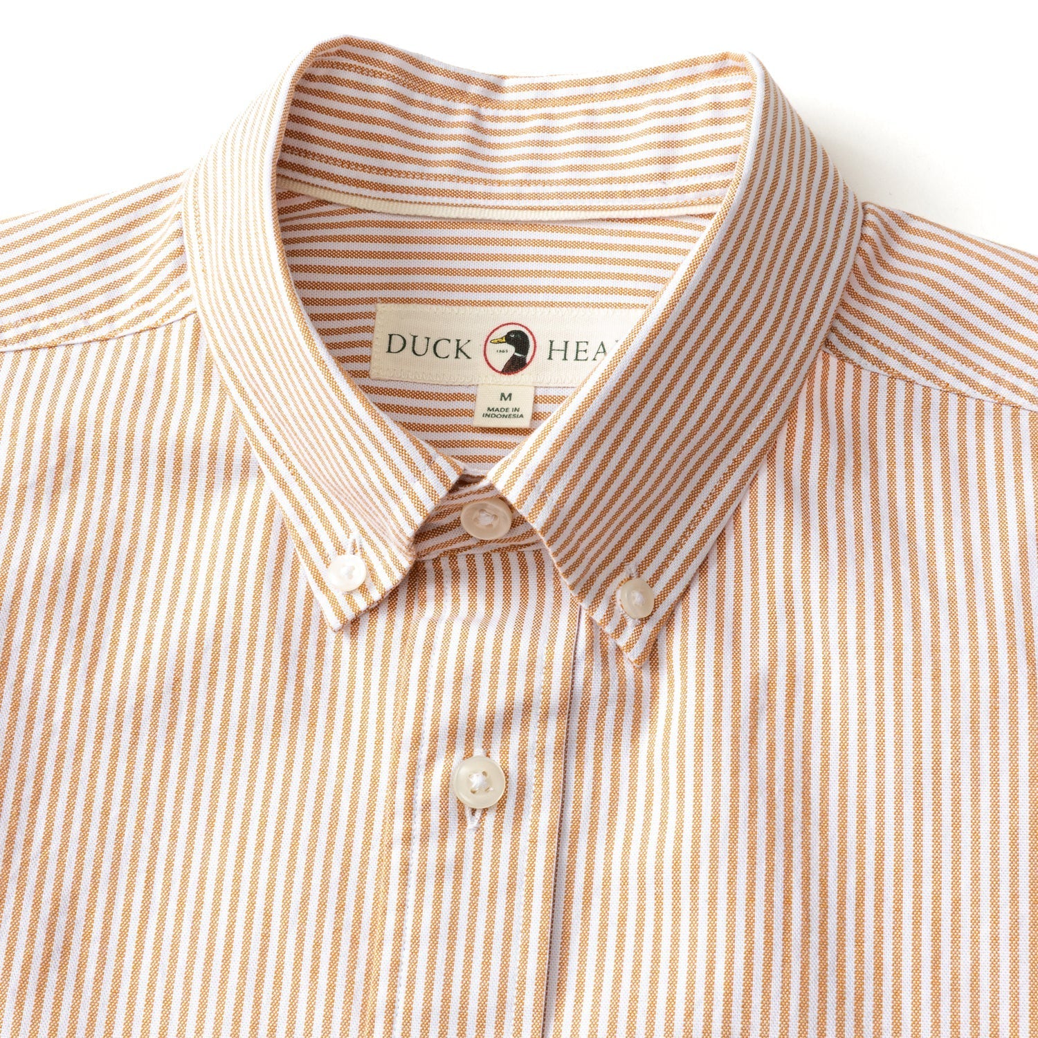 Tan and white striped Cotton Oxford Sport Shirt Collins Stripe by Duck Head, featuring a branded label inside the collar.