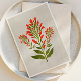 The Indian Paintbrush Blank Greeting Card by Annie Bailey Art features an original red flower and green leaf illustration, inspired by Indian Paintbrush prints, and comes with a matching envelope.