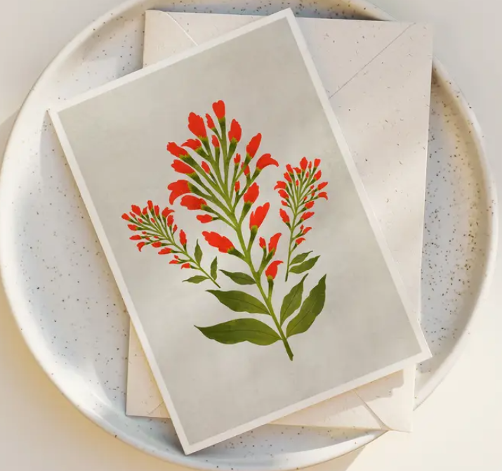 The Indian Paintbrush Blank Greeting Card by Annie Bailey Art features an original red flower and green leaf illustration, inspired by Indian Paintbrush prints, and comes with a matching envelope.