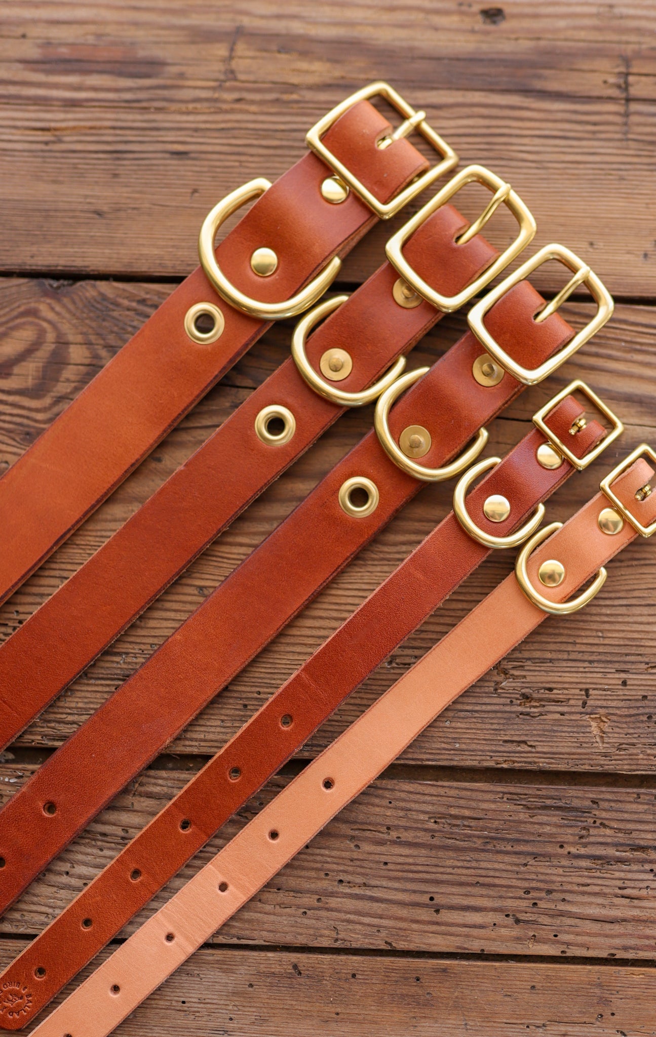 Five handmade brown “Leather Dog Collar | Ballad of the Bird Dog” by Ballad of the Bird Dog, featuring gold buckles and grommets, are displayed side by side on a rustic wooden surface in classic English bridle style.