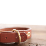 The Leather Dog Collar by Ballad of the Bird Dog, featuring brown leather and a brass ring, is displayed on a wooden surface with a white background.