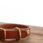 The Leather Dog Collar by Ballad of the Bird Dog, crafted in brown leather with brass hardware, sits on a wooden surface against a white background, highlighting its classic English bridle style.