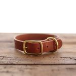 Ballad of the Bird Dog’s Leather Dog Collar: handmade brown leather collar with brass buckle and ring, shown on a wooden surface.