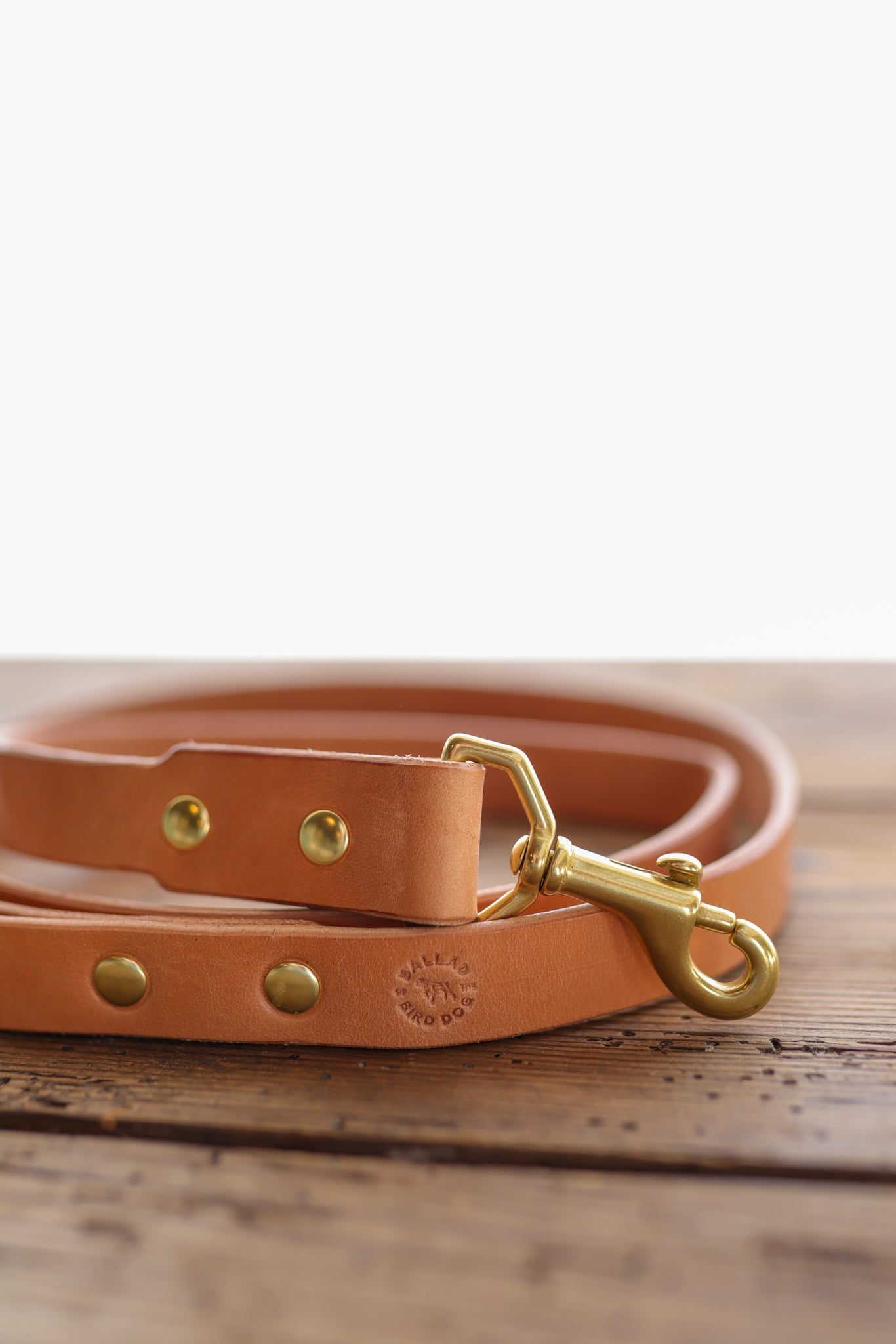 Leather Dog Leash | Ballad Of The Bird - Goods Made