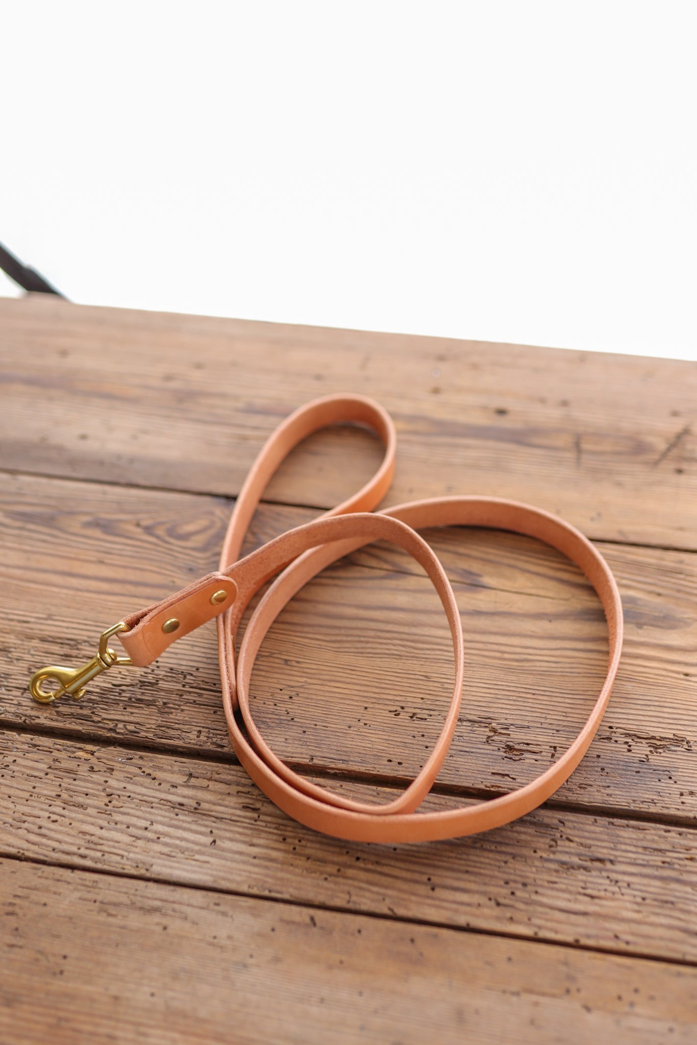 Leather Dog Leash | Ballad Of The Bird - Goods Made