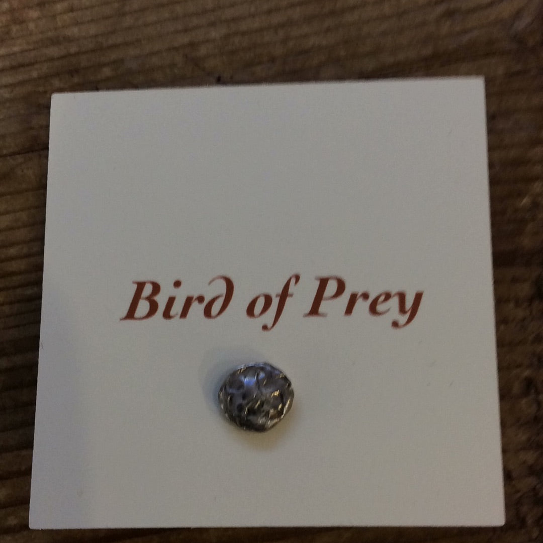 Pin | Assorted Pin/brooch | Bird Of Prey - Meteor Small -
