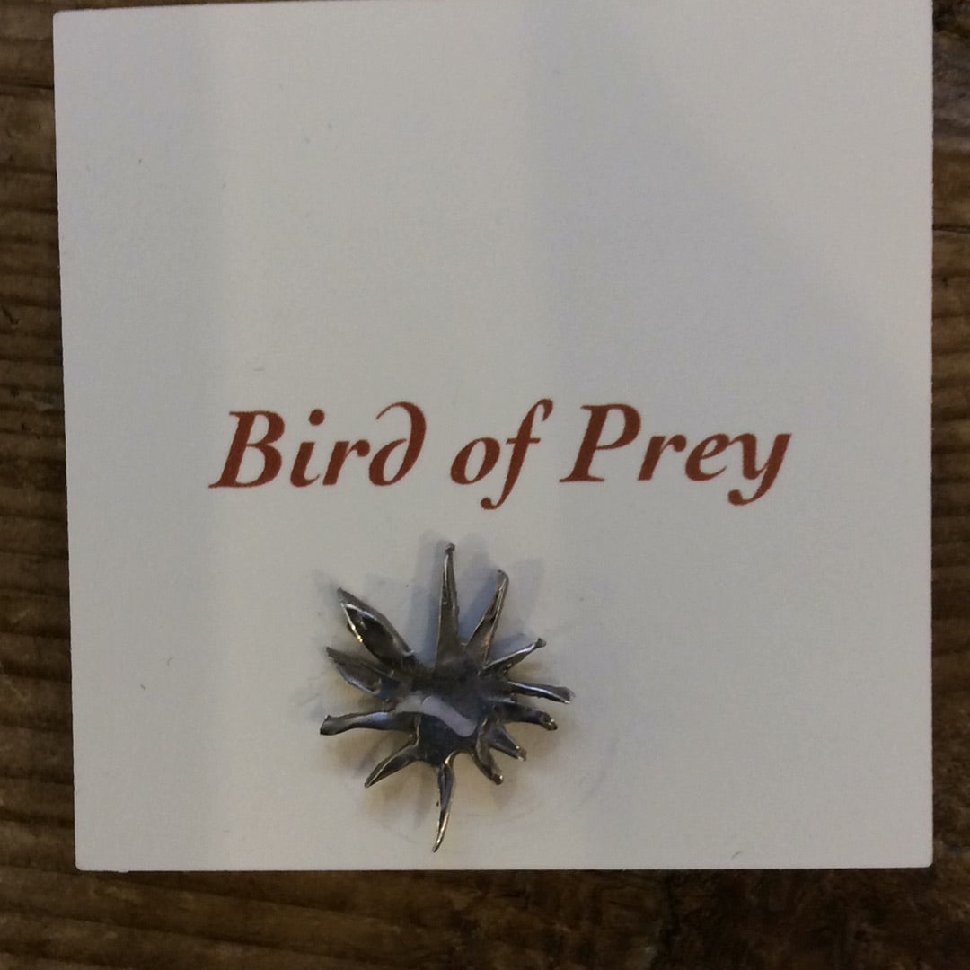 Pin | Assorted Pin/brooch | Bird Of Prey - Starburst -