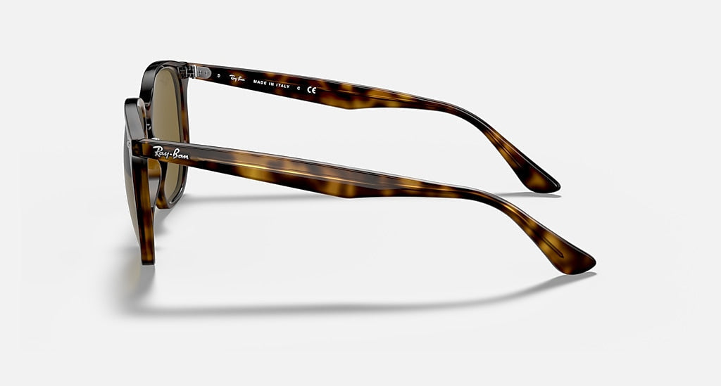 Polished Havana | Gradient Brown | Ray Ban - Sunglasses