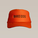 The Shop Hat | Bird Dog Honor by Ballad of the Bird Dog is an orange mesh back hat with "BIRD DOG" embroidered in bold black on the front, shown against a plain beige background.