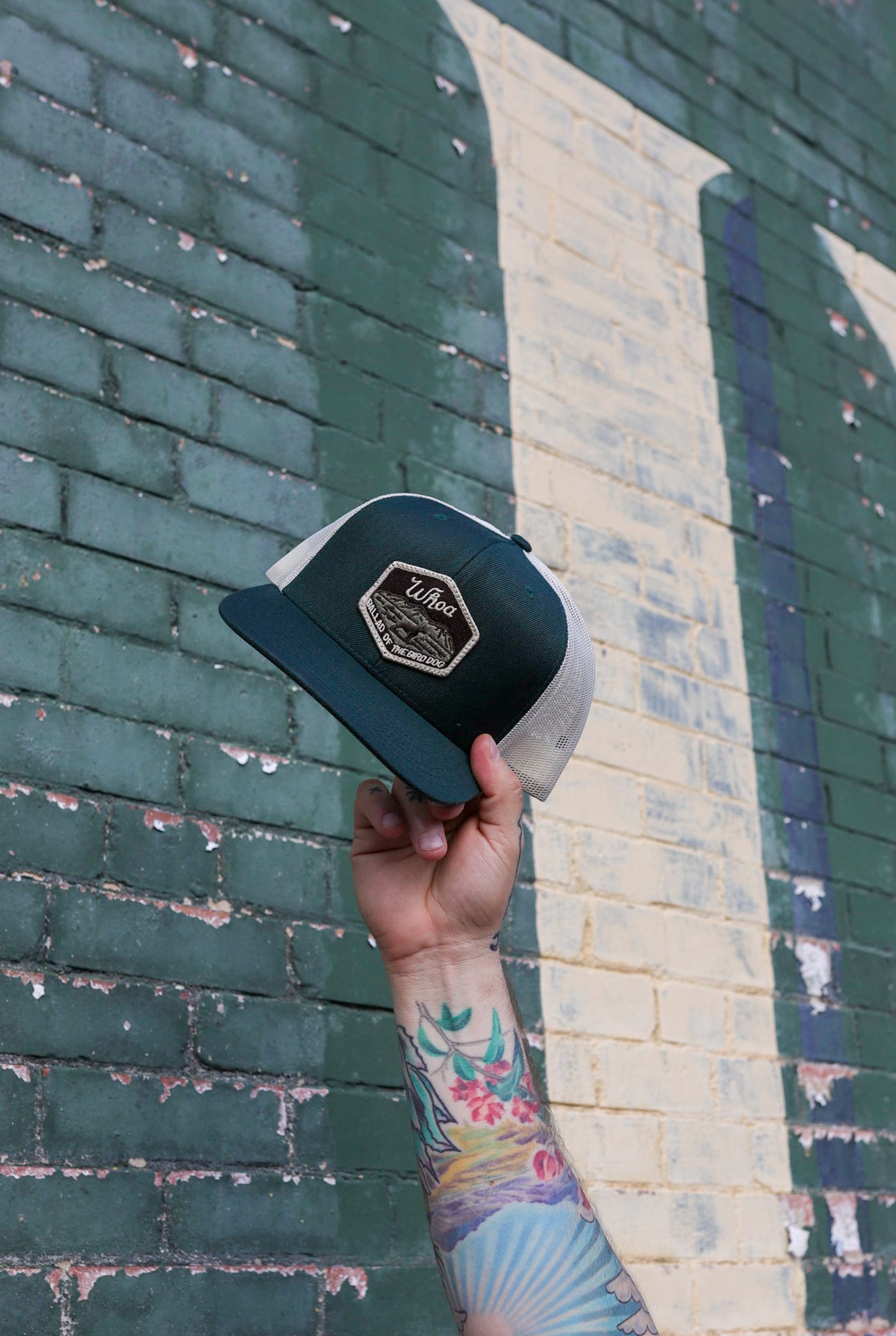 Shop Hat | Whoa Ballad Of The Bird Dog - Hats Brenham