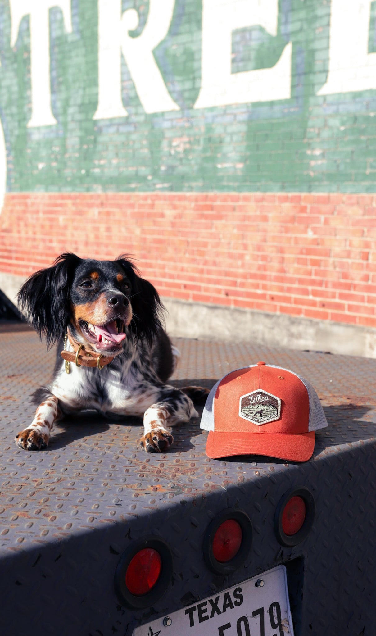 Shop Hat | Whoa Ballad Of The Bird Dog - Hats Brenham
