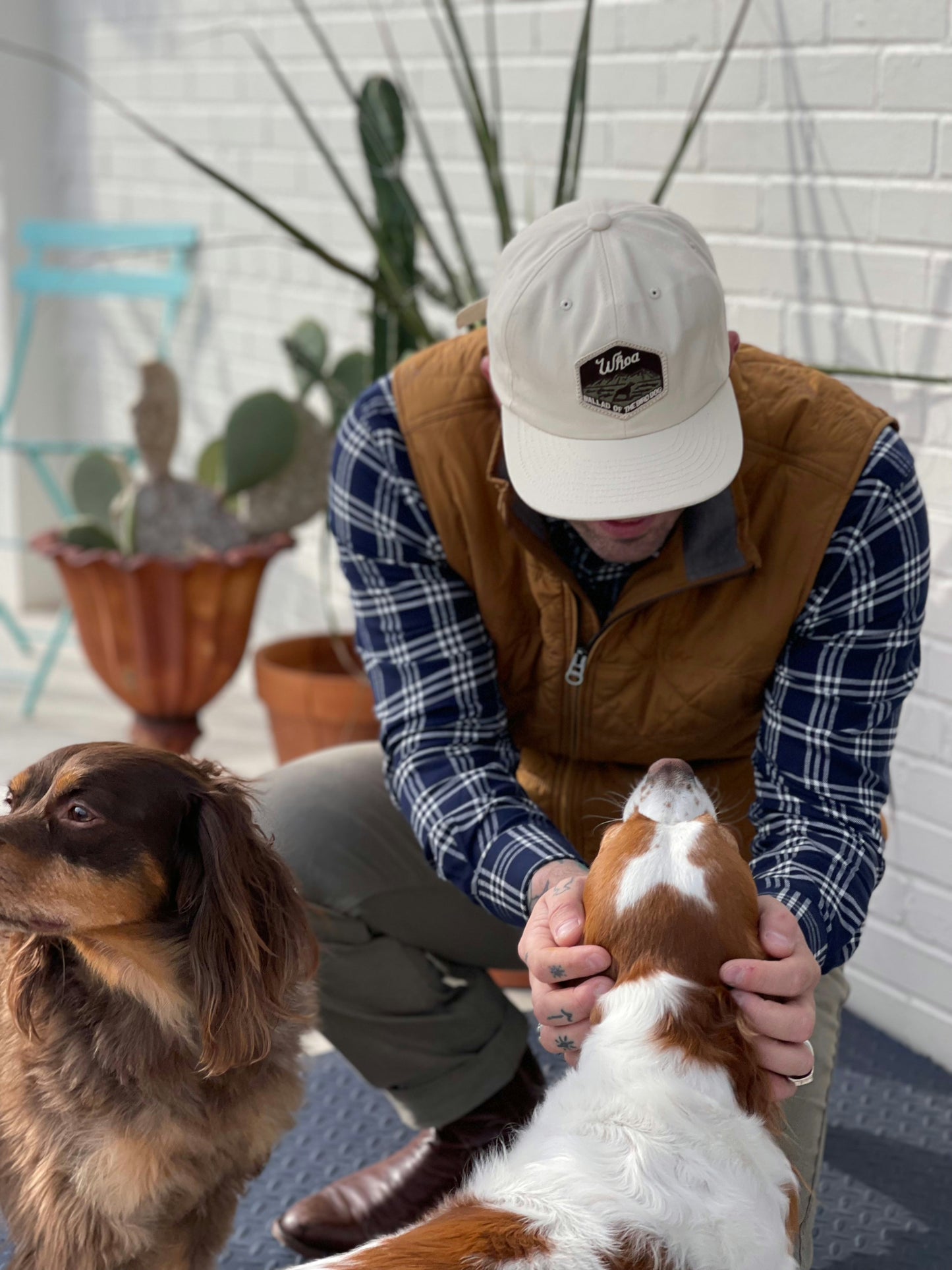 Shop Hat | Whoa Ballad Of The Bird Dog - Hats Brenham