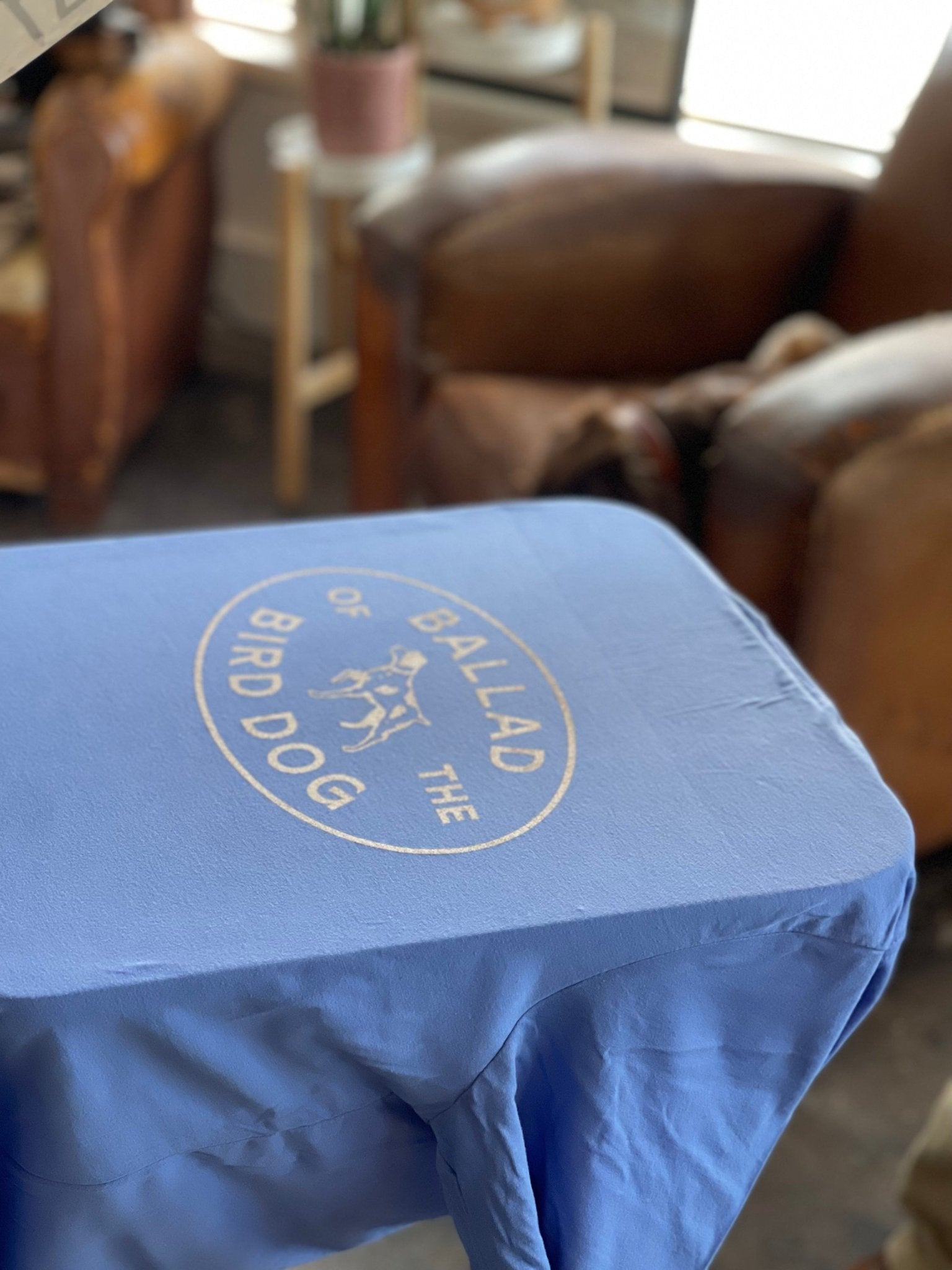 Show your bird dog pride in Downtown Brenham with the Ballad of the Bird Dog's Shop Shirt, featuring a bird dog emblem and "BALLAD OF THE BIRD DOG" text—perfect for any cozy setting.