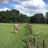 A woman in the Ballad of the Bird Dog Shop Shirt | Side By Side walks with her dog on grass beside a fence in a large open field with trees under a partly cloudy sky.