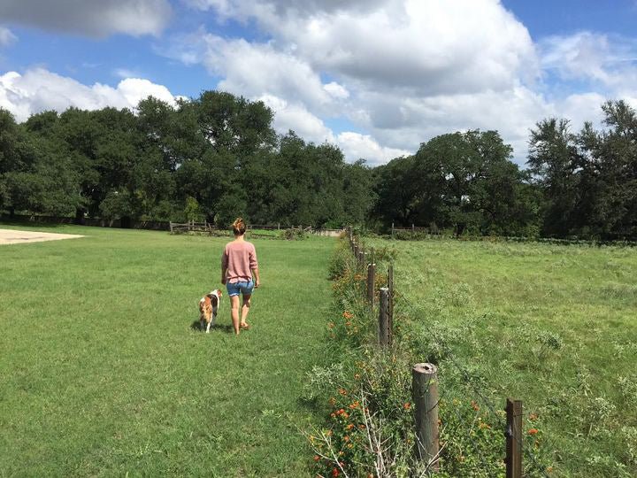 A woman in the Ballad of the Bird Dog Shop Shirt | Side By Side walks with her dog on grass beside a fence in a large open field with trees under a partly cloudy sky.