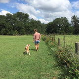 A person wearing the Ballad of the Bird Dog Shop Shirt | Side By Side walks with a dog on a grassy field near a fence, with trees and a partly cloudy sky in the background.