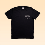 Ballad of the Bird Dog Shop Shirt | Small Town Revival Glory: Black Comfort Colors tee with "BALLAD OF THE BIRD DOG" and three white stars on the left chest, shown against a light beige background.