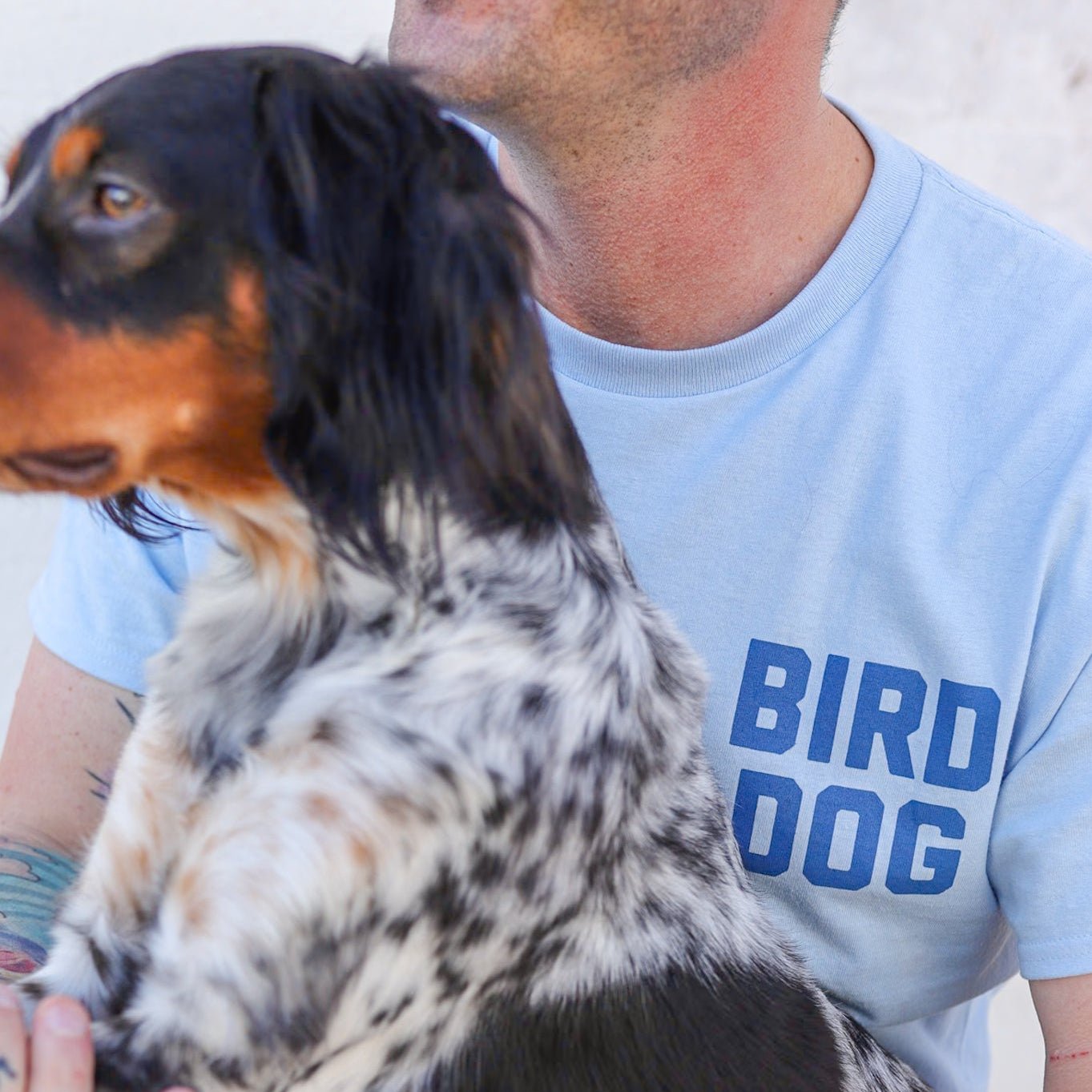Wearing the light blue Shop Shirt by Ballad of the Bird Dog, a person sits with a black and white dog with brown markings, proudly showing their love for Team Bird Dog apparel.
