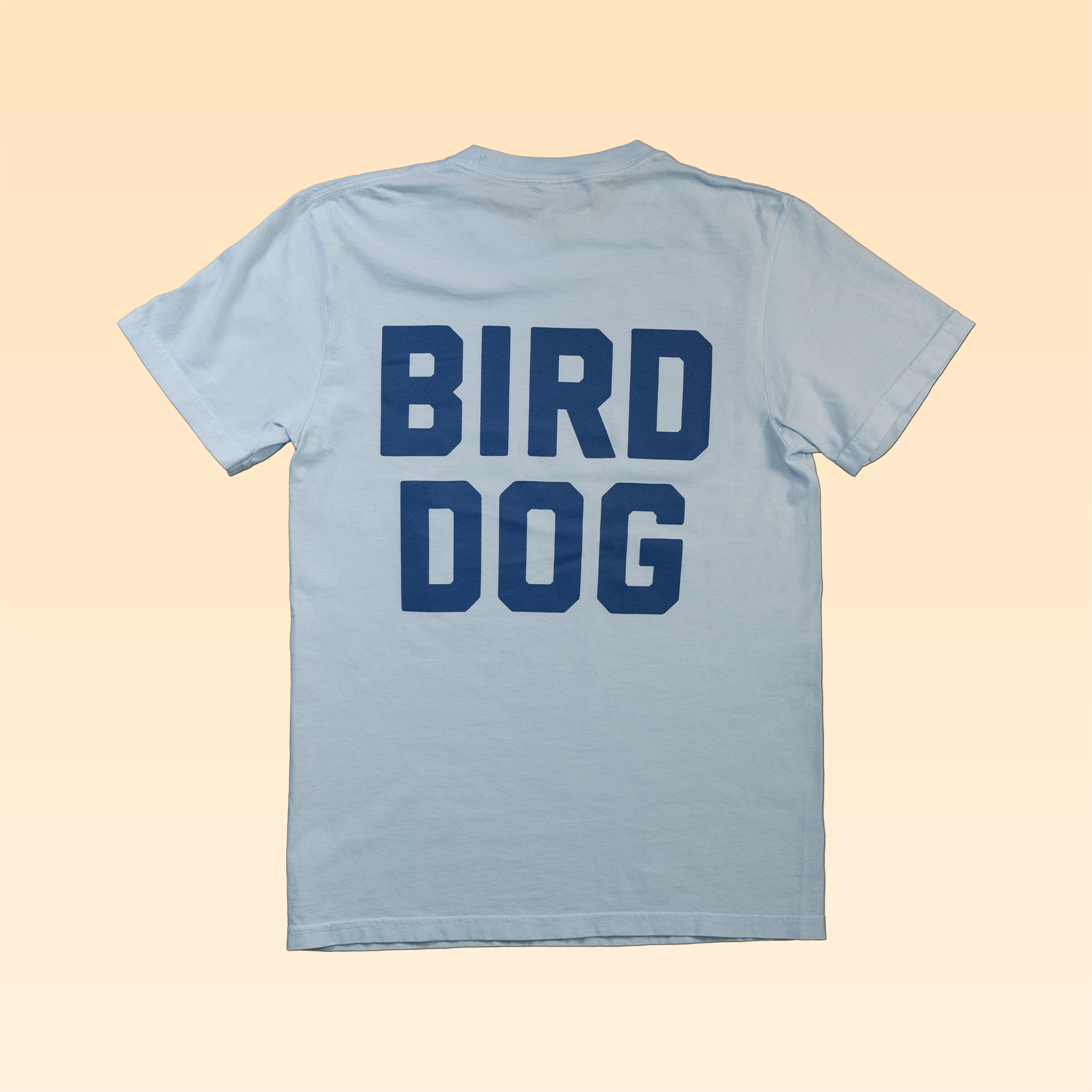 The Ballad of the Bird Dog Team Bird Dog Shop Shirt features a light blue baseball jersey style with bold "BIRD DOG" lettering on the back.