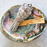 The Abalone Shell Smudging Bowl by Taos Herb Co holds dried sage and palo santo, ideal for sage burning, displayed elegantly on a light surface.