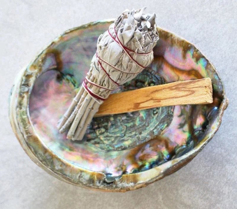 The Abalone Shell Smudging Bowl by Taos Herb Co holds dried sage and palo santo, ideal for sage burning, displayed elegantly on a light surface.